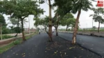 Viral News