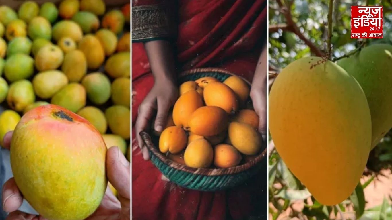 यूपी में कारागार अधीक्षक राजेश कुमार पांडे का तबादला, फिरोजाबाद से कानपुर नगर भेजे गए