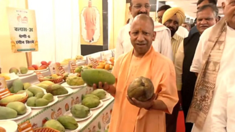 News India 24x7